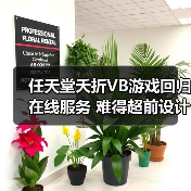 任天堂夭折VB游戏回归在线服务 难得超前设计惨遭失败(图4) 任天堂夭折VB游戏回归在线服务 难得超前设计惨遭失败(图4)