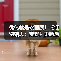 优化就是砍画质！《怪物猎人：荒野》更新后4K变1K负优化（图2）