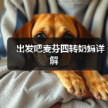 出发吧麦芬四转奶妈详解（图4）