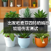 出发吧麦芬四转奶妈技能组伤害测试（图3）