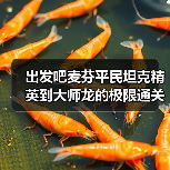 出发吧麦芬平民坦克精英到大师龙的极限通关数据（图2）