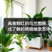 再度翻红的乌兰图雅，成了新的网络抽象圣体（图1）