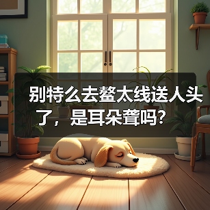 别特么去鳌太线送人头了，是耳朵聋吗？（图1）
