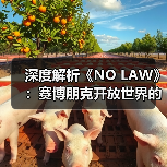 深度解析《NO LAW》:赛博朋克开放世界的叙事驱动与城市设计(图3) 深度解析《NO LAW》:赛博朋克开放世界的叙事驱动与城市设计(图3)
