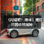 《闪耀吧！噜咪》捕捉只因体验揭秘（图2）