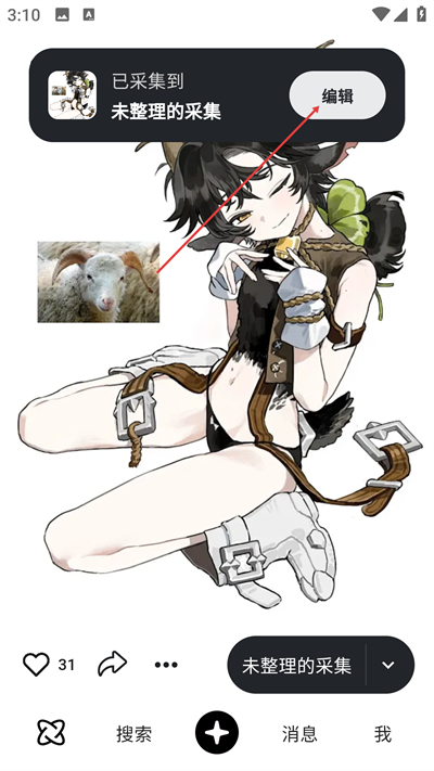 花瓣网免费素材图库手机版下载