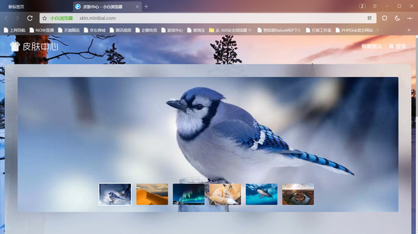 猛速六六六下载
