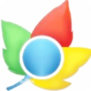 枫树极速浏览器(ChromePlus) v2.0.9.20官方版