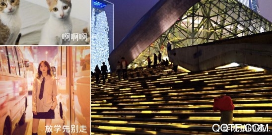 圈圈社交App 圈圈社交App